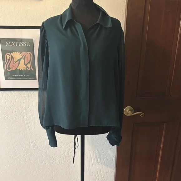 Calvin Klein Collection Green Long Sleeve Button Down Blouse- NWOT - Picture 1 of 6